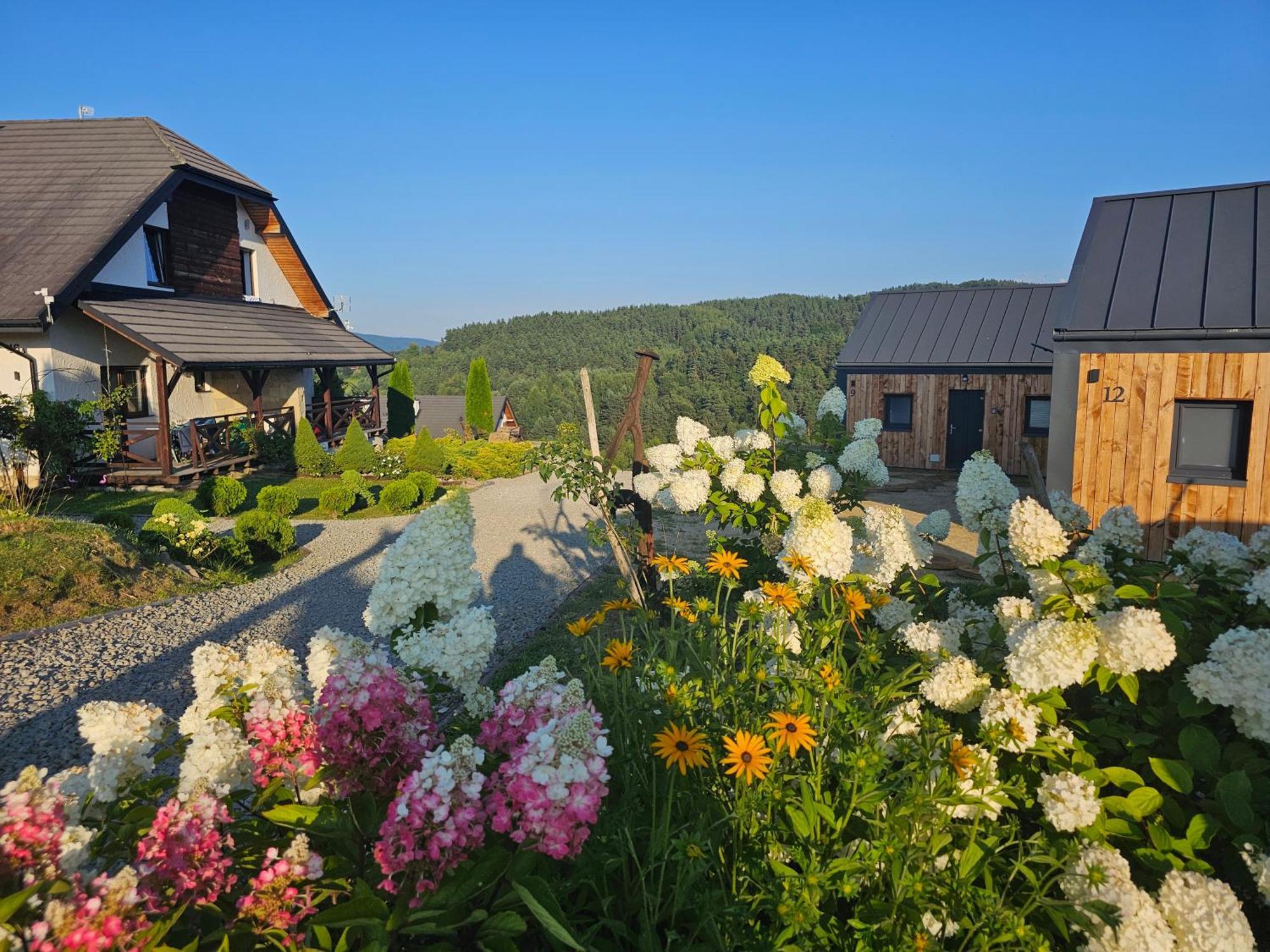 Chata W Bieszczadzie Apartamenty I Domki Z Basenem Bieszczady Polanczyk Exterior photo