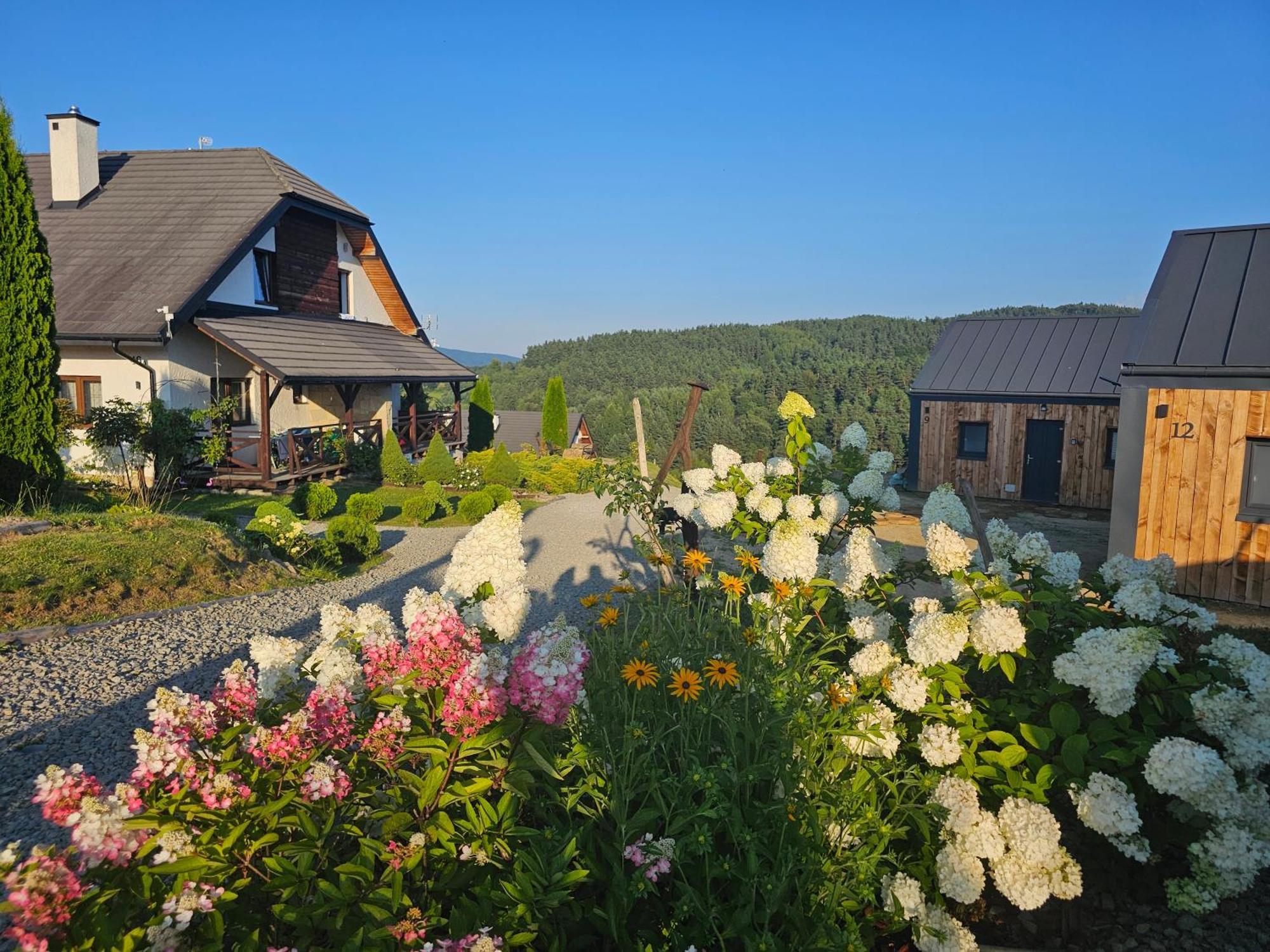 Chata W Bieszczadzie Apartamenty I Domki Z Basenem Bieszczady Polanczyk Exterior photo