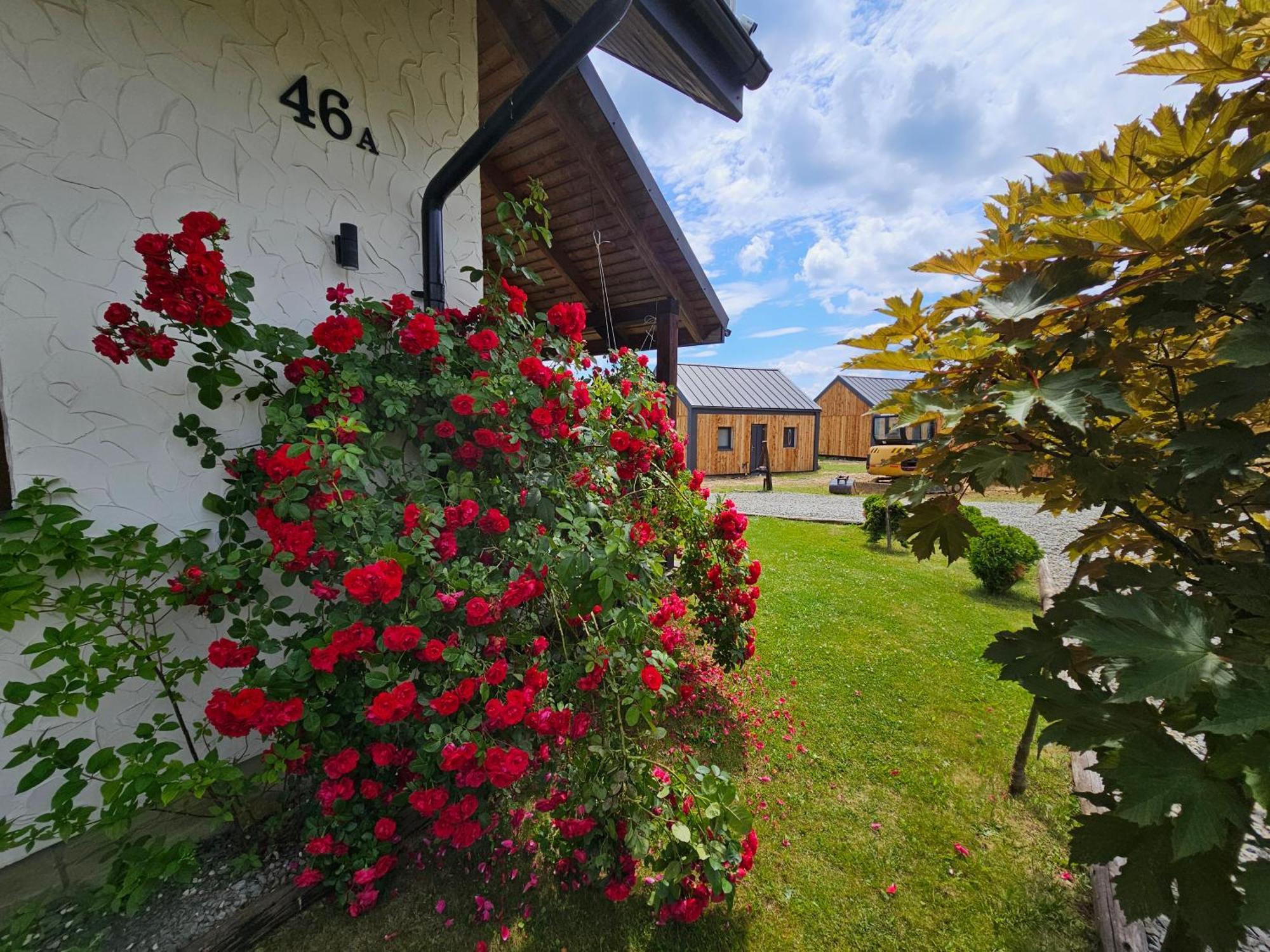 Chata W Bieszczadzie Apartamenty I Domki Z Basenem Bieszczady Polanczyk Exterior photo