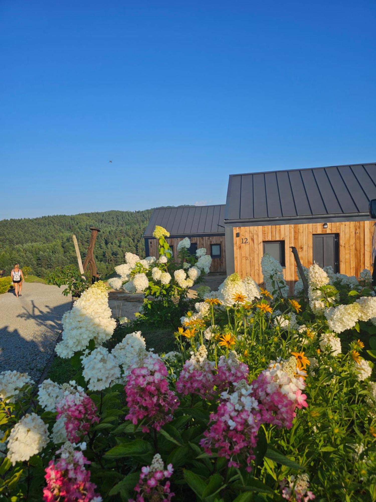 Chata W Bieszczadzie Apartamenty I Domki Z Basenem Bieszczady Polanczyk Exterior photo
